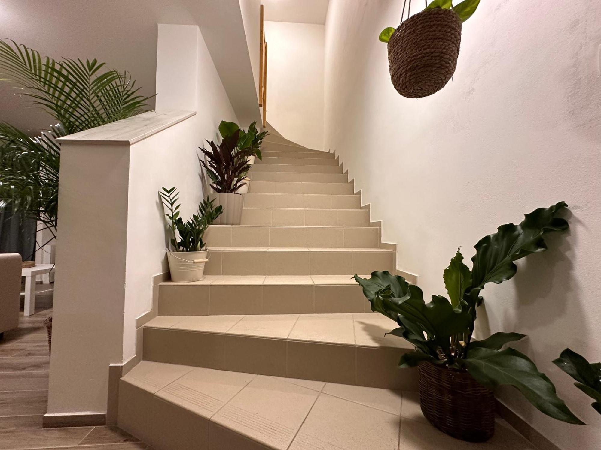 Apartmany Monastery Suites Zirec Dvůr Králové nad Labem Extérieur photo